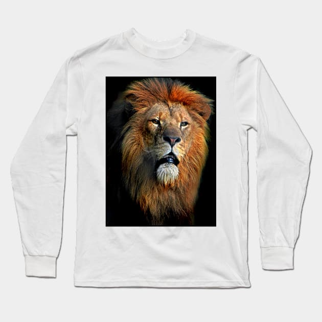 African Lion Long Sleeve T-Shirt by Tarrby